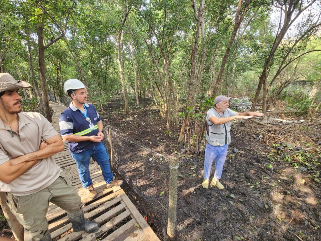 Ação foi realizada para celebrar o Dia de Proteção aos Manguezais