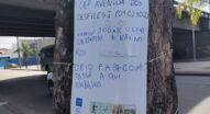 Esse Rio é Meu resgata história do Rio Papa-Couve e mobiliza comunidade