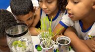 Esse Rio é Meu: CIEP 138, em São João de Meriti, promove o protagonismo estudantil por meio de ações ambientais