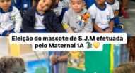 Pequenos gestos que ajudam a construir consciência ambiental na Creche Municipal Vereador Benilton Paes
