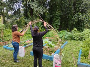Projeto Esponja Viva: bucha vegetal vira aliada da educação ambiental em escola de Vargem Grande